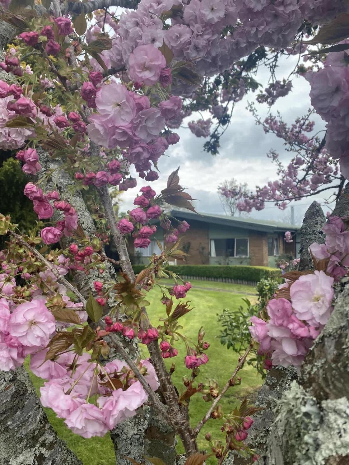 Roselake Retreat Ροτόρυα Εξωτερικό φωτογραφία